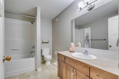 43 Sunrise Crescent Ne, High River, AB - Indoor Photo Showing Bathroom