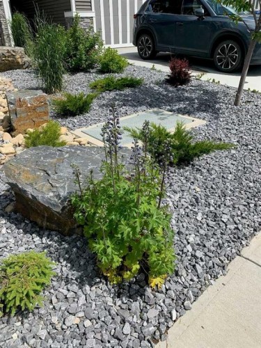 188 Sunrise Common, Cochrane, AB - Outdoor