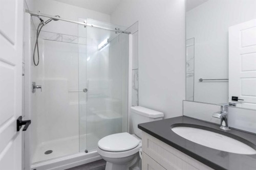 208 Dawson Circle, Chestermere, AB - Indoor Photo Showing Bathroom