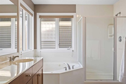 202 Royal Oak Heath Nw, Calgary, AB - Indoor Photo Showing Bathroom