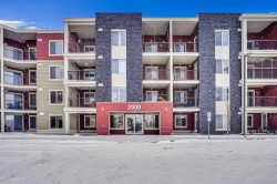 411-15 Saddlestone Way NE Calgary, AB T3J 0S3