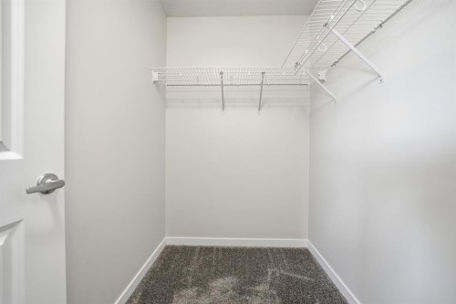 292 Cornerbrook Drive Ne, Calgary, AB - Indoor With Storage