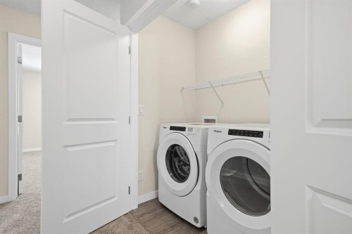 292 Cornerbrook Drive Ne, Calgary, AB - Indoor Photo Showing Laundry Room