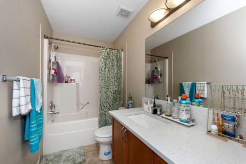 212 Silverado Range Heights Sw, Calgary, AB - Indoor Photo Showing Bathroom