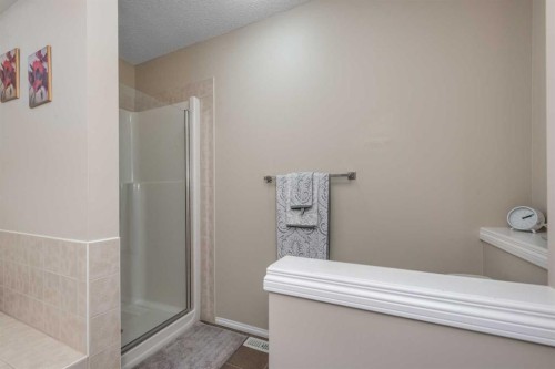 212 Silverado Range Heights Sw, Calgary, AB - Indoor Photo Showing Bathroom