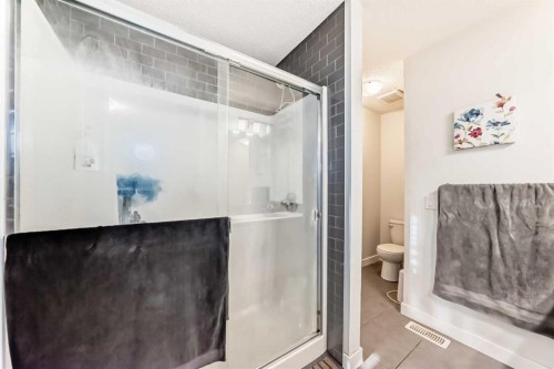 366 Auburn Bay Avenue Se, Calgary, AB - Indoor Photo Showing Bathroom