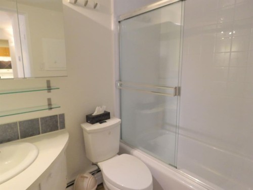204-328 Cedar Crescent Sw, Calgary, AB - Indoor Photo Showing Bathroom
