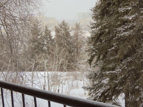 204-328 Cedar Crescent Sw, Calgary, AB - Outdoor With Balcony With View