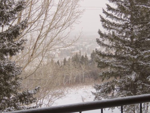 204-328 Cedar Crescent Sw, Calgary, AB - Outdoor With Balcony With View