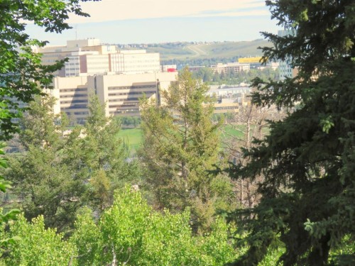 204-328 Cedar Crescent Sw, Calgary, AB - Outdoor With View