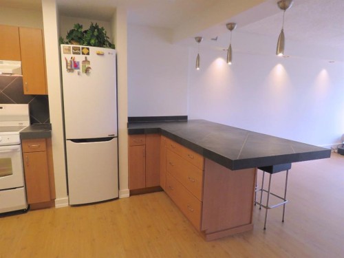 204-328 Cedar Crescent Sw, Calgary, AB - Indoor Photo Showing Kitchen