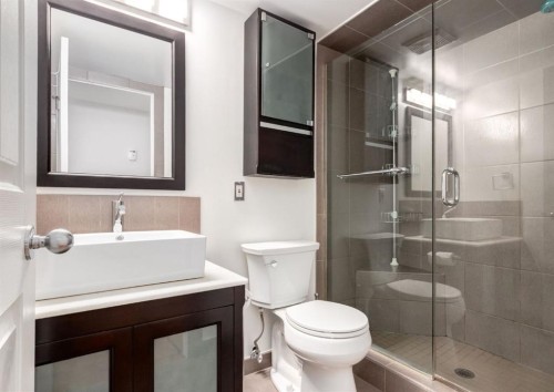 3-123 13 Avenue Ne, Calgary, AB - Indoor Photo Showing Bathroom