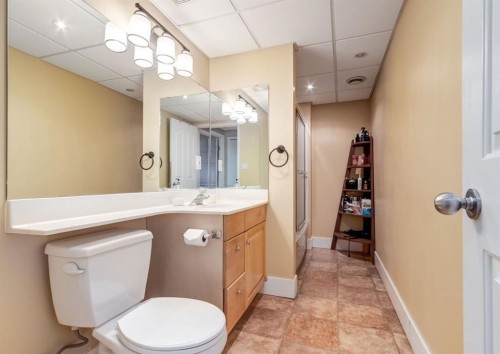 3-123 13 Avenue Ne, Calgary, AB - Indoor Photo Showing Bathroom