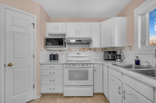 131 Coral Springs Circle Ne, Calgary, AB - Indoor Photo Showing Kitchen With Double Sink