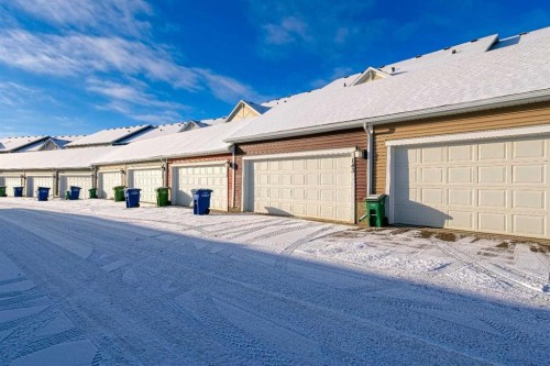 143 Baysprings Terrace, Airdrie, AB - Outdoor