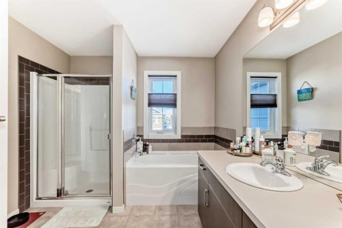 77 Marquis Common Se, Calgary, AB - Indoor Photo Showing Bathroom