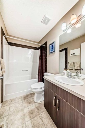 77 Marquis Common Se, Calgary, AB - Indoor Photo Showing Bathroom