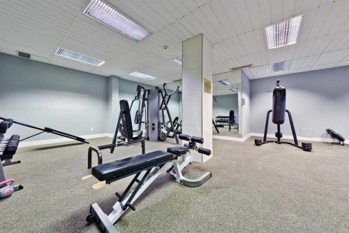 413-4944 Dalton Drive Nw, Calgary, AB - Indoor Photo Showing Gym Room