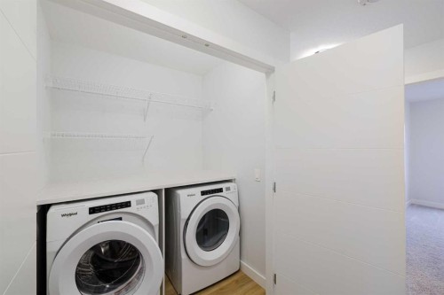 213 Alpine Rush View, Rural Rocky View County, AB - Indoor Photo Showing Laundry Room