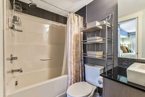 2114-11 Mahogany Row Se, Calgary, AB - Indoor Photo Showing Bathroom