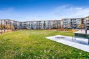 2114-11 Mahogany Row Se, Calgary, AB  - Outdoor 