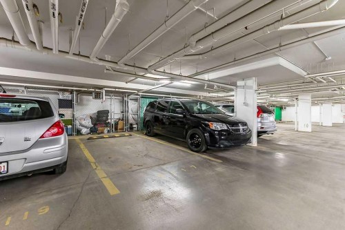 2114-11 Mahogany Row Se, Calgary, AB - Indoor Photo Showing Garage