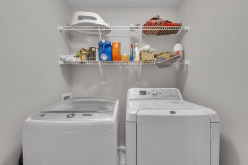 12 Cougar Ridge Manor Sw, Calgary, AB - Indoor Photo Showing Laundry Room