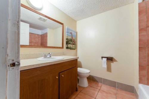 350 33 Avenue Ne, Calgary, AB - Indoor Photo Showing Bathroom