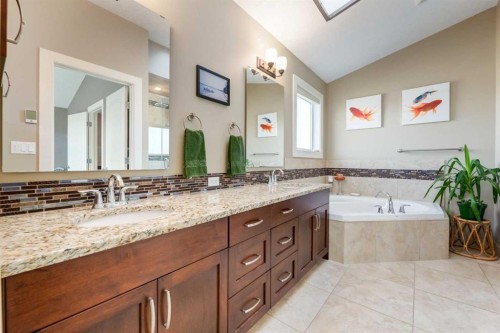 6616 Bowness Road Nw, Calgary, AB - Indoor Photo Showing Bathroom
