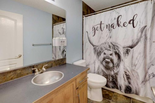 463 Cranfield Gardens Se, Calgary, AB - Indoor Photo Showing Bathroom