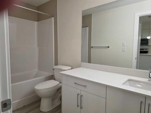 2220-15 Skyview Point Crescent, Calgary, AB - Indoor Photo Showing Bathroom