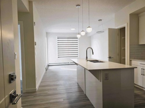 2220-15 Skyview Point Crescent, Calgary, AB - Indoor Photo Showing Kitchen With Upgraded Kitchen