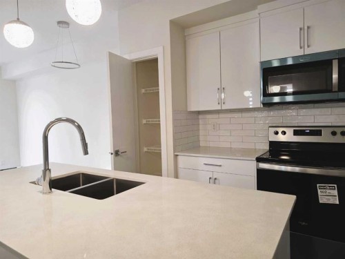 2220-15 Skyview Point Crescent, Calgary, AB - Indoor Photo Showing Kitchen With Double Sink With Upgraded Kitchen