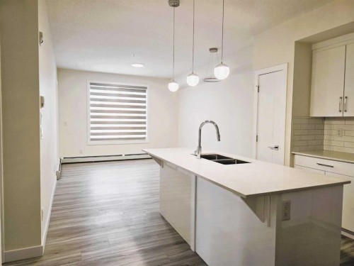 2220-15 Skyview Point Crescent, Calgary, AB - Indoor Photo Showing Kitchen With Double Sink With Upgraded Kitchen