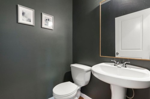 196 Jumping Pound Terrace, Cochrane, AB - Indoor Photo Showing Bathroom