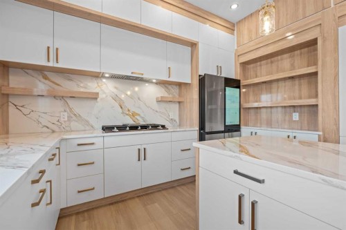 230 Royal Birch View Nw, Calgary, AB - Indoor Photo Showing Kitchen With Upgraded Kitchen
