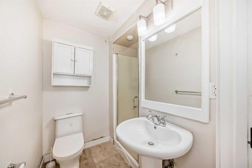 6128 Madigan Drive Ne, Calgary, AB - Indoor Photo Showing Bathroom