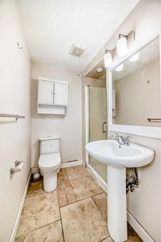 6128 Madigan Drive Ne, Calgary, AB - Indoor Photo Showing Bathroom