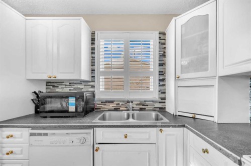 120 Castlebrook Rise Ne, Calgary, AB - Indoor Photo Showing Kitchen With Double Sink