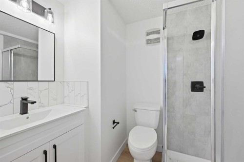 2404 51 Street Ne, Calgary, AB - Indoor Photo Showing Bathroom