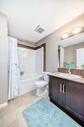 236 New Brighton Row Se, Calgary, AB - Indoor Photo Showing Bathroom