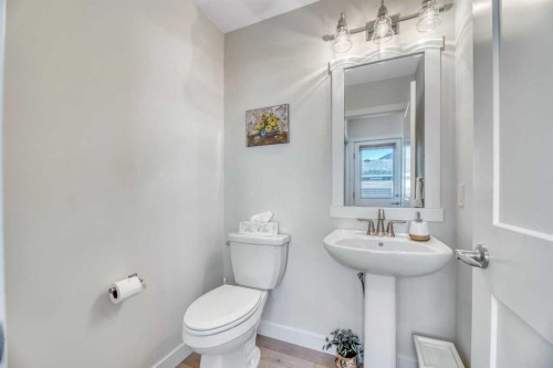 196 Wolf Hollow Park Se, Calgary, AB - Indoor Photo Showing Bathroom