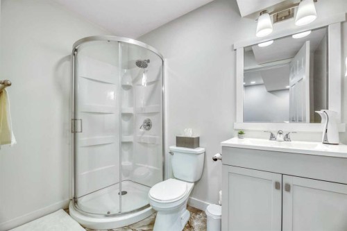 196 Wolf Hollow Park Se, Calgary, AB - Indoor Photo Showing Bathroom
