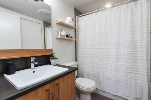 206-510 Edmonton Trail Ne, Calgary, AB - Indoor Photo Showing Bathroom