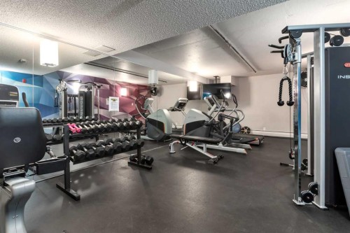 206-510 Edmonton Trail Ne, Calgary, AB - Indoor Photo Showing Gym Room