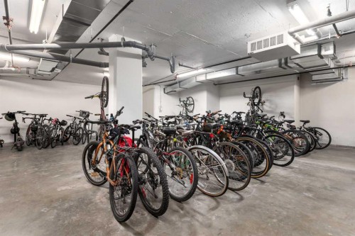 206-510 Edmonton Trail Ne, Calgary, AB - Indoor Photo Showing Garage