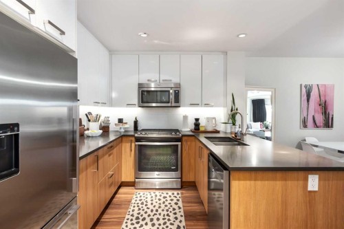 206-510 Edmonton Trail Ne, Calgary, AB - Indoor Photo Showing Kitchen With Stainless Steel Kitchen With Double Sink