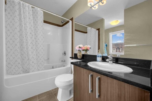 4107-333 Taralake Way Ne, Calgary, AB - Indoor Photo Showing Bathroom