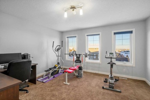 254 Silverado Plains Circle Sw, Calgary, AB - Indoor