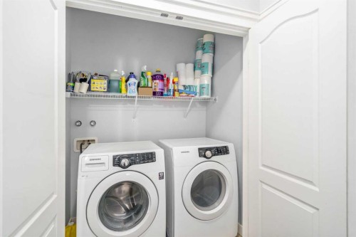 254 Silverado Plains Circle Sw, Calgary, AB - Indoor Photo Showing Laundry Room
